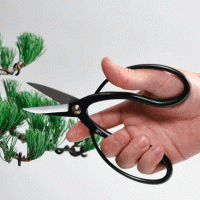 Ножницы для Бонсай (маленькие)