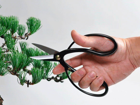 Ножницы для Бонсай (маленькие)