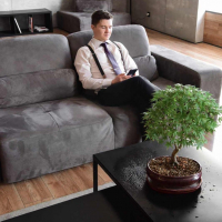 Бонсай Клён - «Kiyohime» в прямоугольной плошке Бонсай Клён - «Kiyohime» в прямоугольной плошке