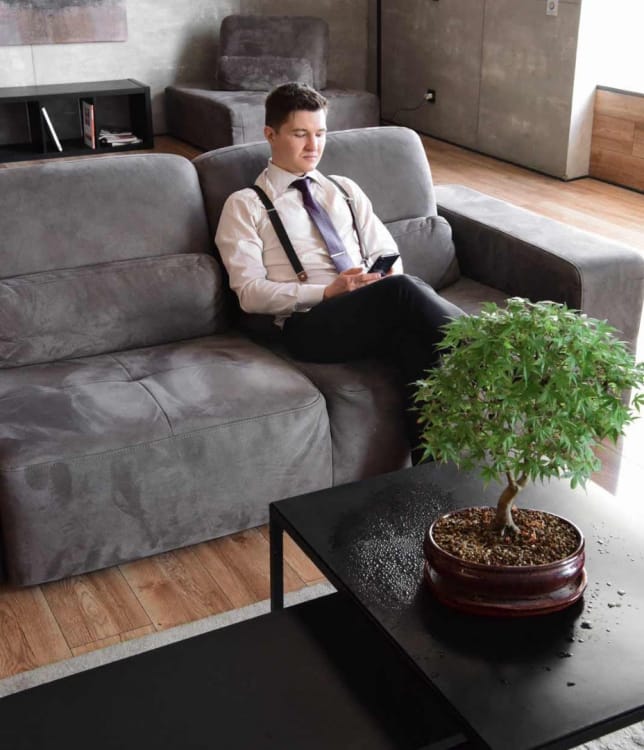 Бонсай Клён - «Kiyohime» в прямоугольной плошке Бонсай Клён - «Kiyohime» в прямоугольной плошке