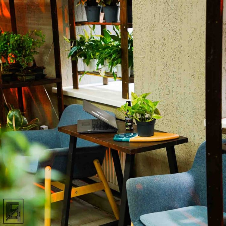 Эпипремнум Марбл Квин D12 Эпипремнум Марбл Квин D12