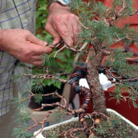 Проволока из анодированного алюминия 4мм * 2м Проволока из анодированного алюминия 4мм * 2м