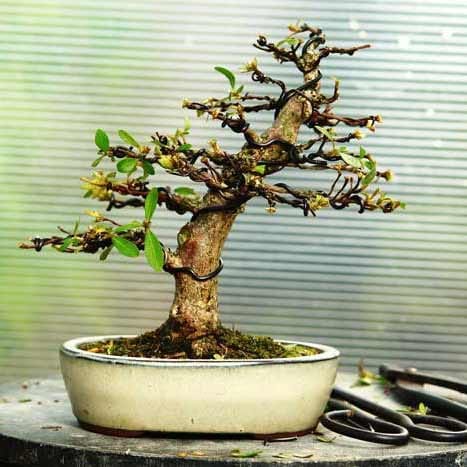 Проволока из анодированного алюминия 5мм*3 м. Проволока из анодированного алюминия 5мм*3 м.