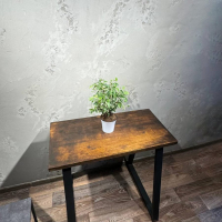 Фикус Бенджамина в кашпо D12 Фикус Бенджамина в кашпо D12