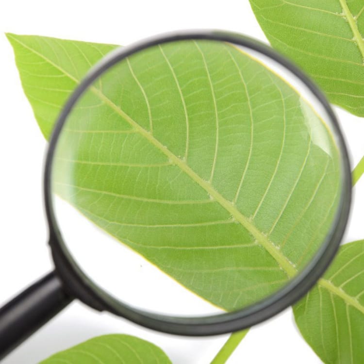 Диагностика