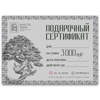 Подарочный Сертификат на сумму 3000 рублей Подарочный Сертификат на сумму 3000 рублей