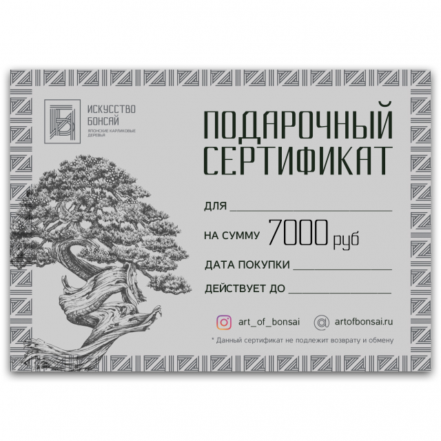 Подарочный Сертификат на сумму 7000 рублей