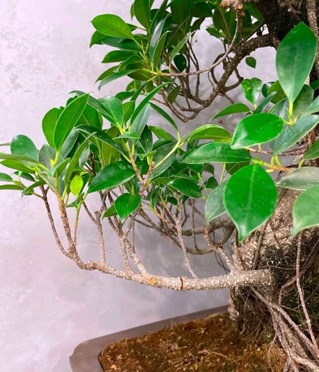 Диагностика