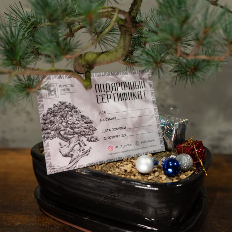 Подарочный Сертификат на сумму 8000 рублей