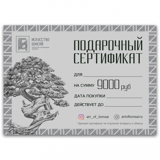 Подарочный Сертификат на сумму 9000 рублей