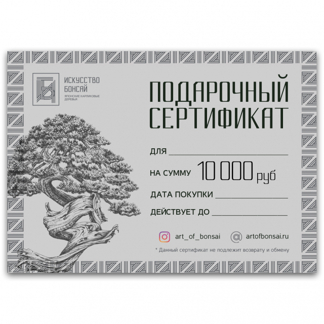 Подарочный Сертификат на сумму 10 000 рублей