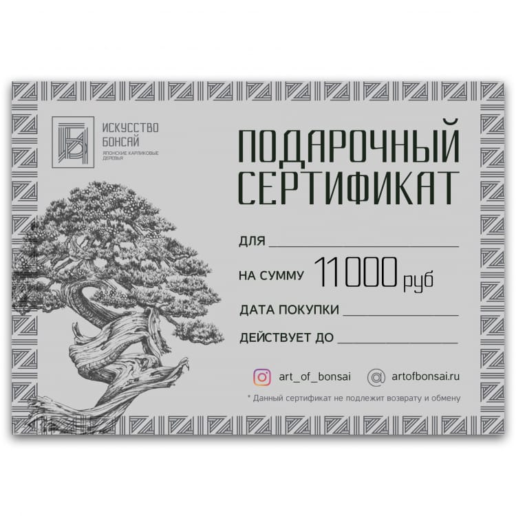Подарочный Сертификат на сумму 11 000 рублей Подарочный Сертификат на сумму 11 000 рублей