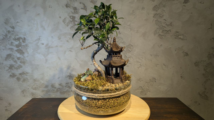 Бонсай композиция "Храм Тишины" 40 см Бонсай композиция "Храм Тишины" 40 см