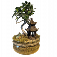 Бонсай композиция "Храм Тишины" 40 см Бонсай композиция "Храм Тишины" 40 см