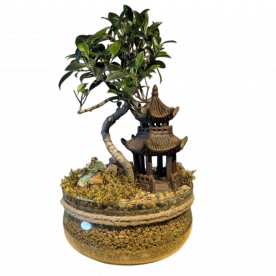 Бонсай композиция "Храм Тишины" 40 см