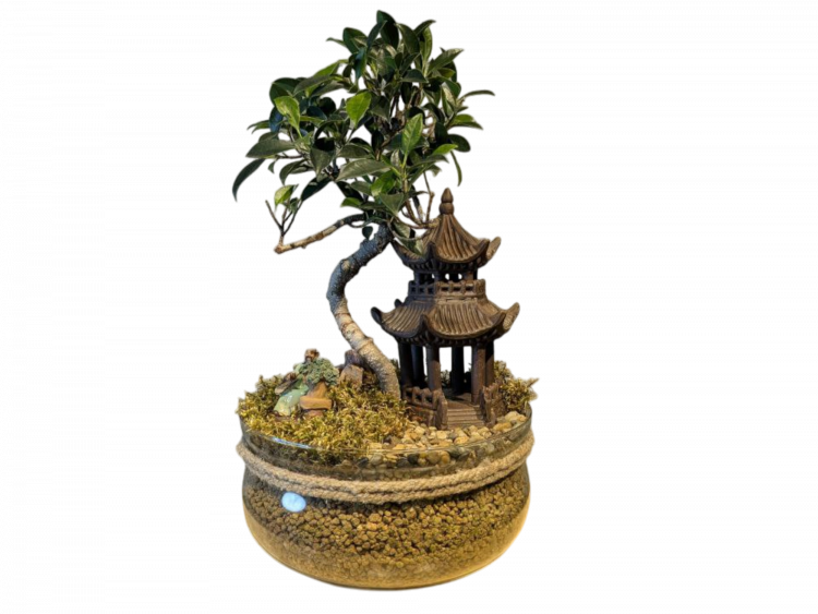 Бонсай композиция "Храм Тишины" 40 см Бонсай композиция "Храм Тишины" 40 см