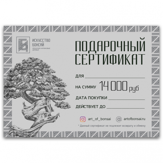 Подарочный Сертификат на сумму 14 000 рублей