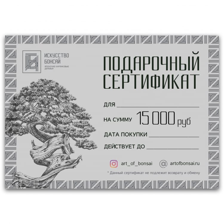Подарочный Сертификат на сумму 15 000 рублей Подарочный Сертификат на сумму 15 000 рублей