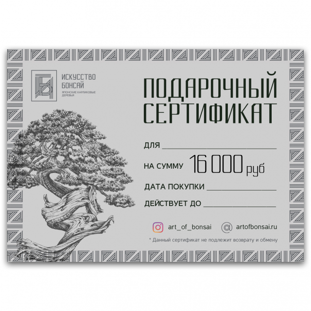 Подарочный Сертификат на сумму 16 000 рублей