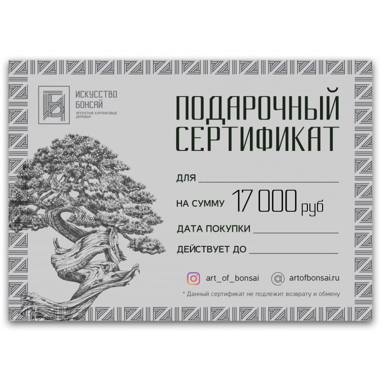Подарочный Сертификат на сумму 17 000 рублей