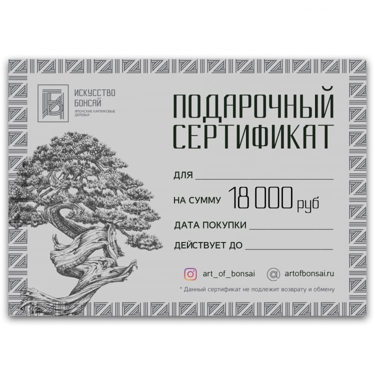 Подарочный Сертификат на сумму 18 000 рублей Подарочный Сертификат на сумму 18 000 рублей