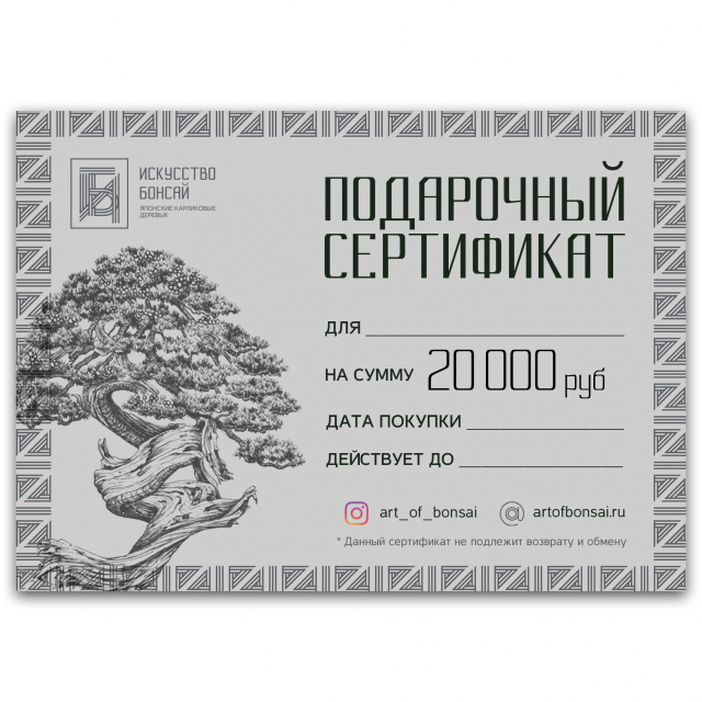 Подарочный Сертификат на сумму 20 000 рублей