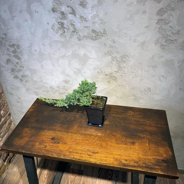 Бонсай Можжевельник полукаскад 30 см Бонсай Можжевельник полукаскад 30 см