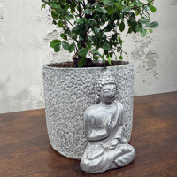 Бонсай Вяз в кашпо "Будда"