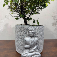 Бонсай Сагереция в кашпо "Будда" Бонсай Сагереция в кашпо "Будда"