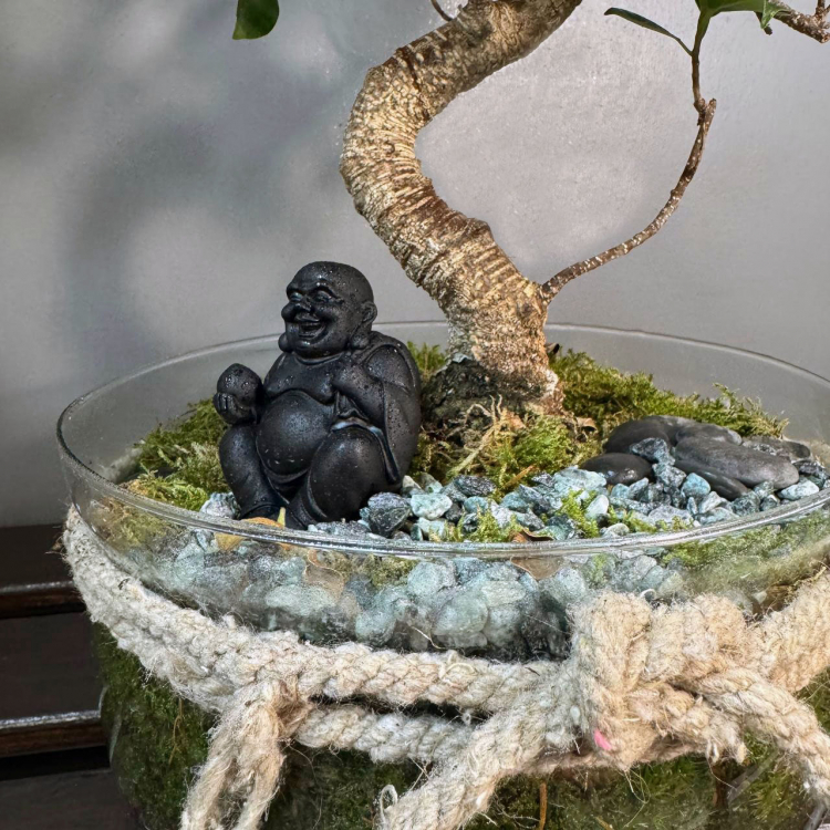 Флорариум с Бонсай Баньян