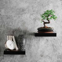 Бонсай Вяз 18 лет Бонсай Вяз 18 лет