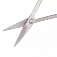 Ножницы для Бонсай - Длинные (Нержавеющая сталь)