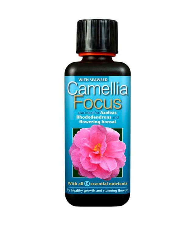 Удобрение - Camellia Focus 300 мл
