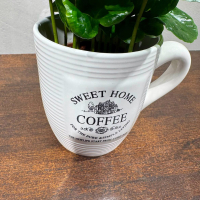 Кофе Арабика в чашке