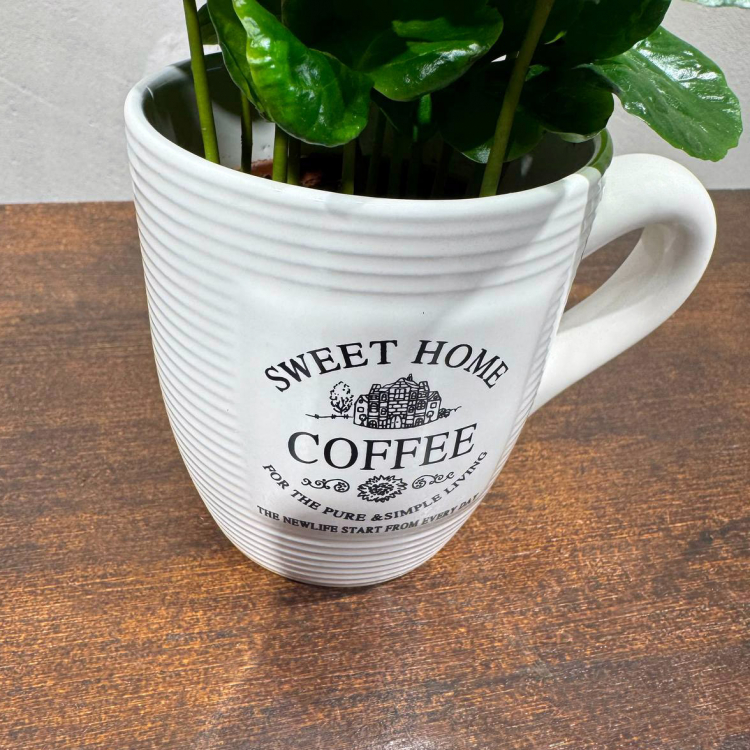 Кофе Арабика в чашке