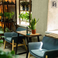 Сансевиерия Суперб D14