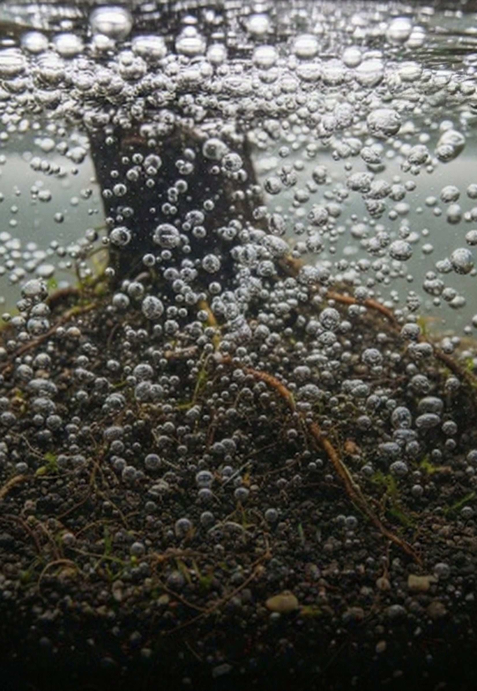 Шаг 3 Пузырьки