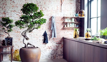 Озеленение квартиры. Почему это важно?