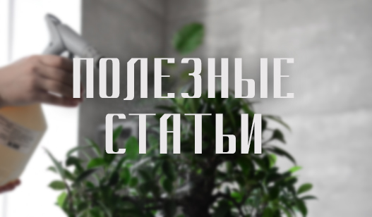 Полезные статьи