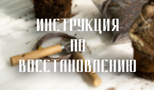 Инструкция по восстановлению дерева